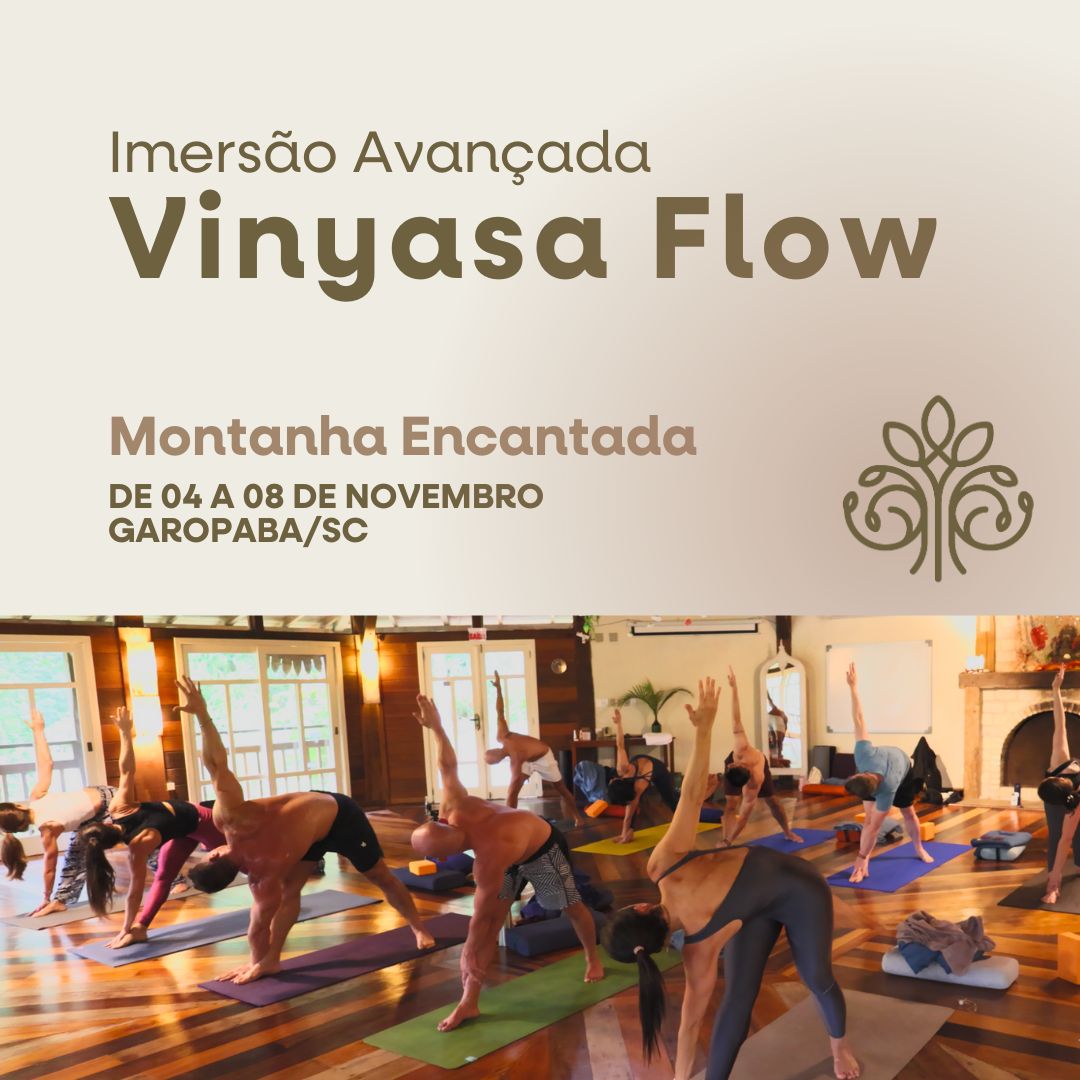 Imersão Avançada em Vinyasa Flow